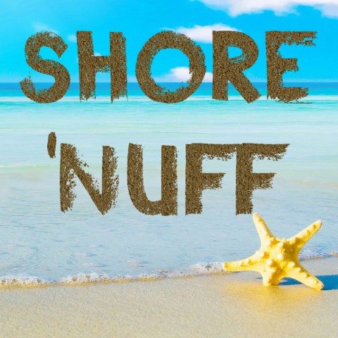 Hire Shore 'Nuff - Cover Band in Toms River, New Jersey