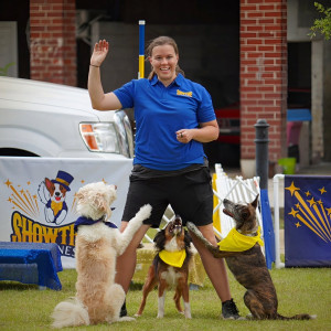 Showtime Canines - Animal Entertainment in Warrenton, North Carolina
