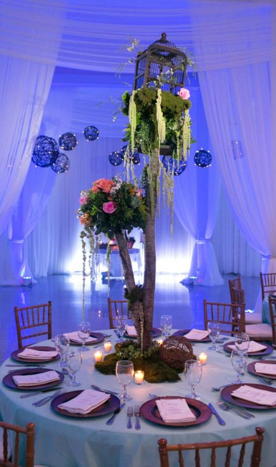 Gallery photo 2 of Signature Event Lighting