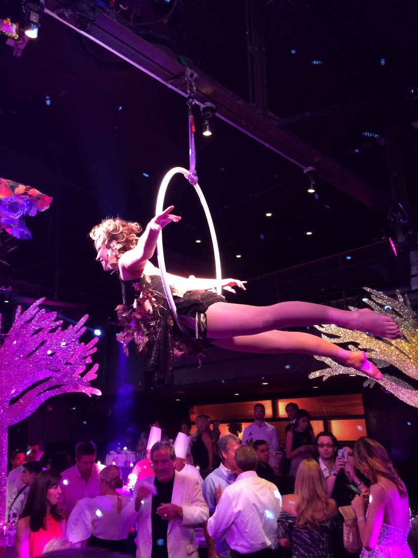 Hire Silks/Rope/BUNGEE DANCE/Hammock/ Aerialist in New York City, New