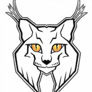 Silver Lynx Arts and Entertainment