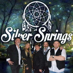 Silver Springs  Fleetwood Mac Experience - Fleetwood Mac Tribute Band / Tribute Band in Youngstown, Ohio