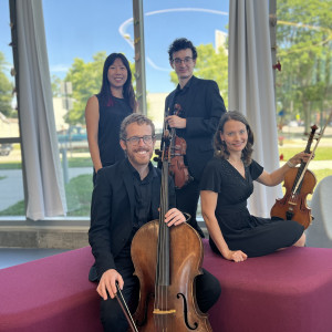 Windy City Strings - Classical Ensemble / String Trio in Chicago, Illinois