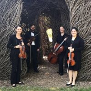 Silver Strings Quartet - String Quartet / Wedding Musicians in South Bend, Indiana