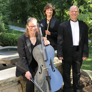 Silver & Strings Trio - String Trio in Canton, Ohio