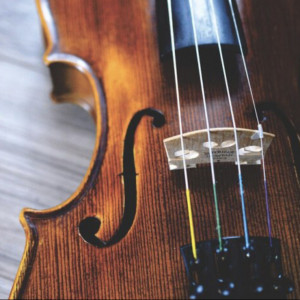 Simply Strings - String Quartet in Jacksonville, Florida