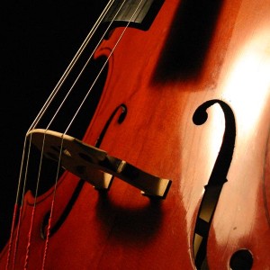 Simply Strings - Classical Duo in Welcome, Minnesota