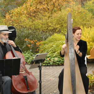 Sinfonietta Arts - Classical Ensemble / String Trio in Chicago, Illinois