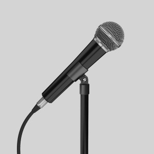 Singer: Michaela Dennis - Singer/Songwriter in Chicago, Illinois