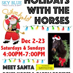 Sky Blue Stables-Pony/Horse Parties