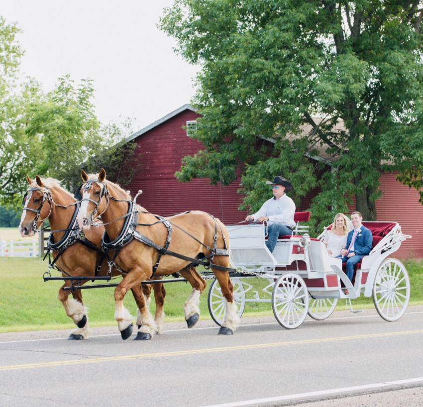 Hire Smith Carriage Co. - Horse Drawn Carriage in Isanti, Minnesota