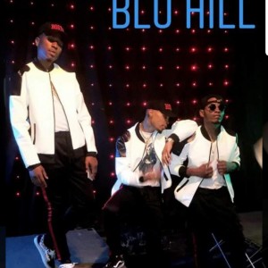 Blu Hill