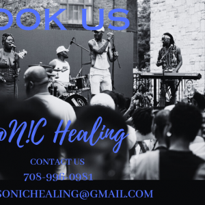 S@N!C Healing - Cover Band in Chicago, Illinois
