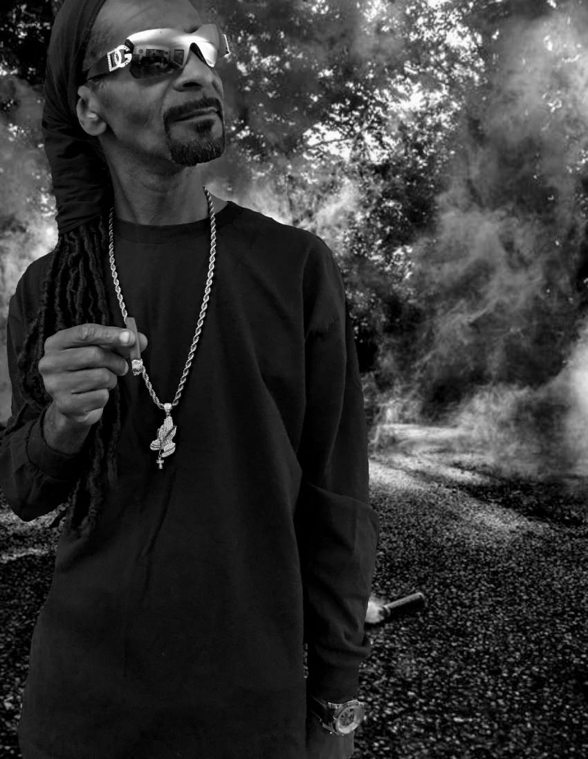 Hire Snoop Dogg Look Alike - Look-Alike in Los Angeles, California