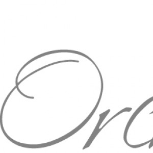 Orchid Bleu Events - Event Planner in Dallas, Texas