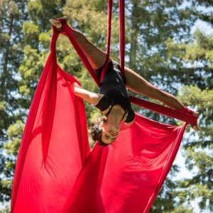 SoCo Aerial - Aerialist in Forestville, California