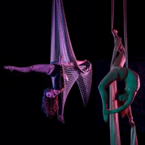Anna Thomas-Henry Aerialist in Net and Fabric - Aerialist in New York City, New York