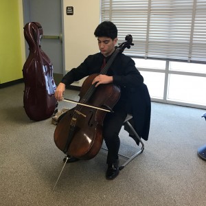 Solo Cellist