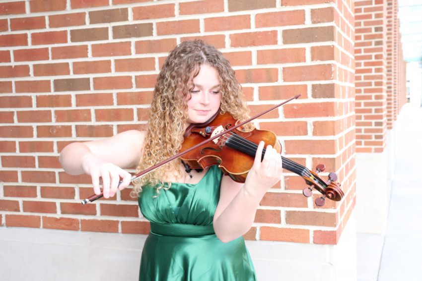 Gallery photo 1 of Solo Violinist