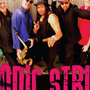 Sonic Strut - Soul Band in Sebastopol, California