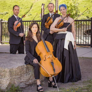 Sonorous Strings - String Quartet / Wedding Entertainment in Minneapolis, Minnesota