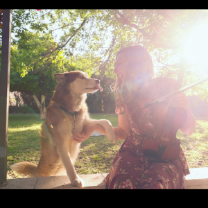 Sophia Studios - Violinist / Strolling Violinist in Mesa, Arizona