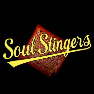 Soul Stingers - Acoustic Band in Ventura, California