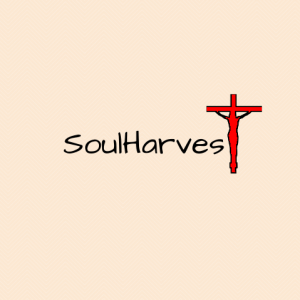 SoulHarvest - Christian Band in Terre Haute, Indiana