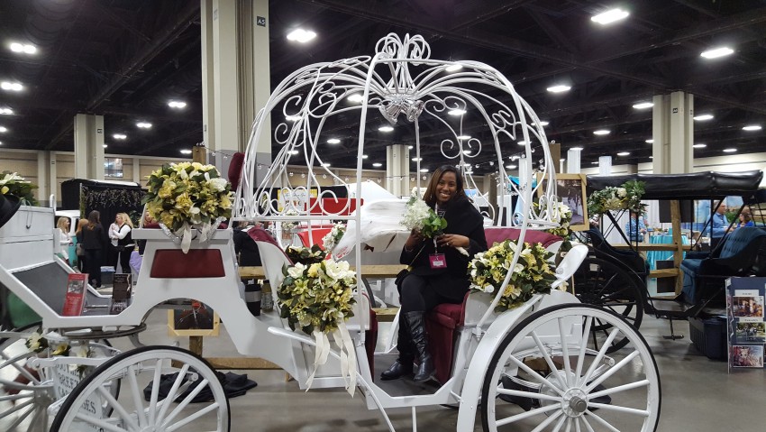 Gallery photo 1 of Southern Breezes Carriages