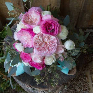 Melissa Mason Photography - Wedding Photographer in Shreveport, Louisiana