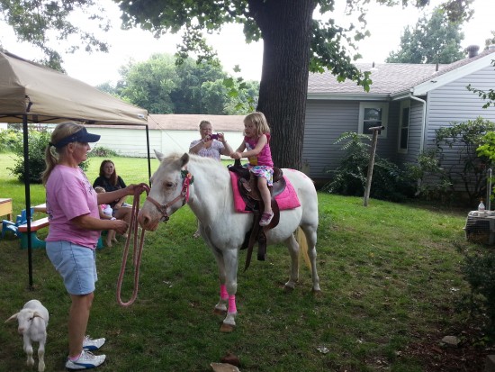 Gallery photo 1 of Sparkle Party Ponies and Petting Zoo