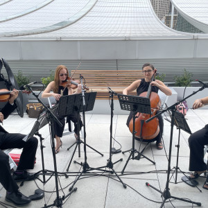 Arev Music Entertainment - Classical Ensemble / String Quartet in Wexford, Pennsylvania