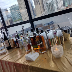 Special Events Bartending LLC - Bartender in Chicago, Illinois