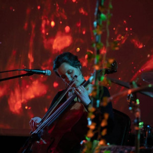 Special Occasion Music - Cellist / Wedding Musicians in Mazomanie, Wisconsin