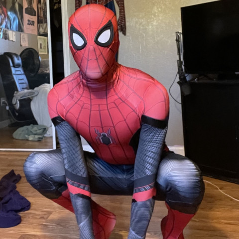 Hire Spider-Man Impersonator - Party Rentals in Mesa, Arizona