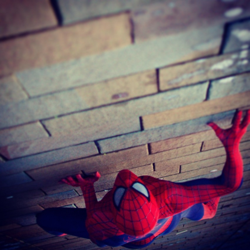 Gallery photo 1 of Spidey for Hire