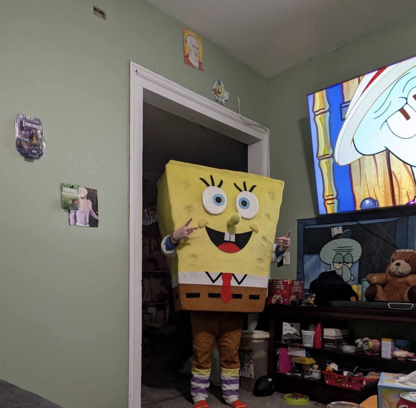 Gallery photo 1 of SpongeRemi