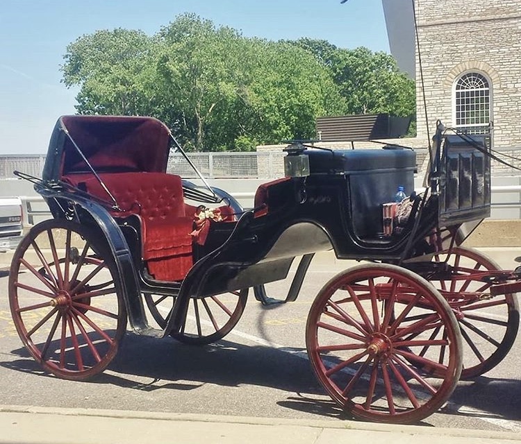 Gallery photo 1 of St. Louis Horse Drawn Carriage & Funeral