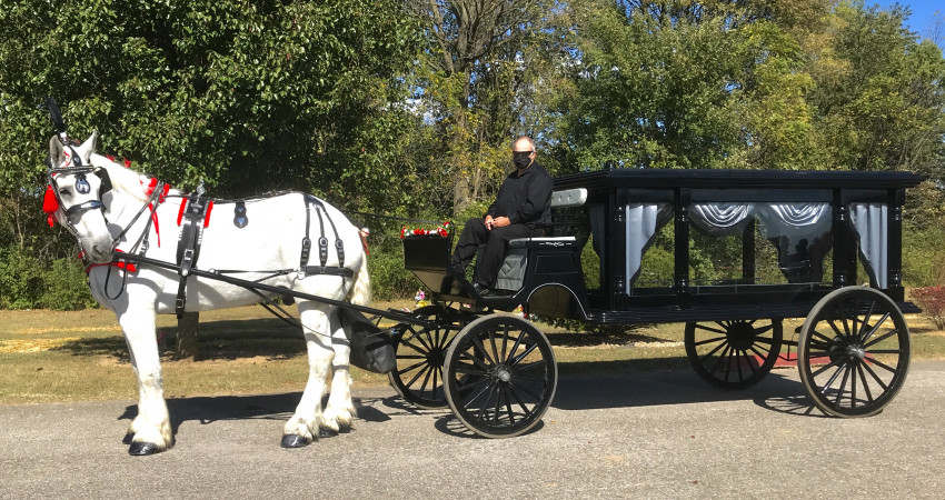 Horse Drawn Carriages & Hearse of Texas LLC - Transportation