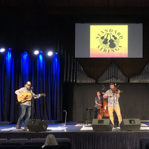 Standard Strings - Bluegrass Band in Villa Park, Illinois
