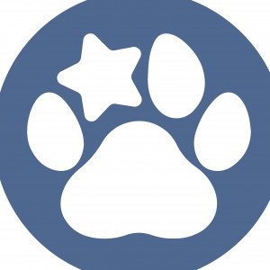 Starr Dog Behavior - Video Services in Dallas, Texas