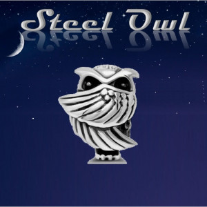 Steel Owl