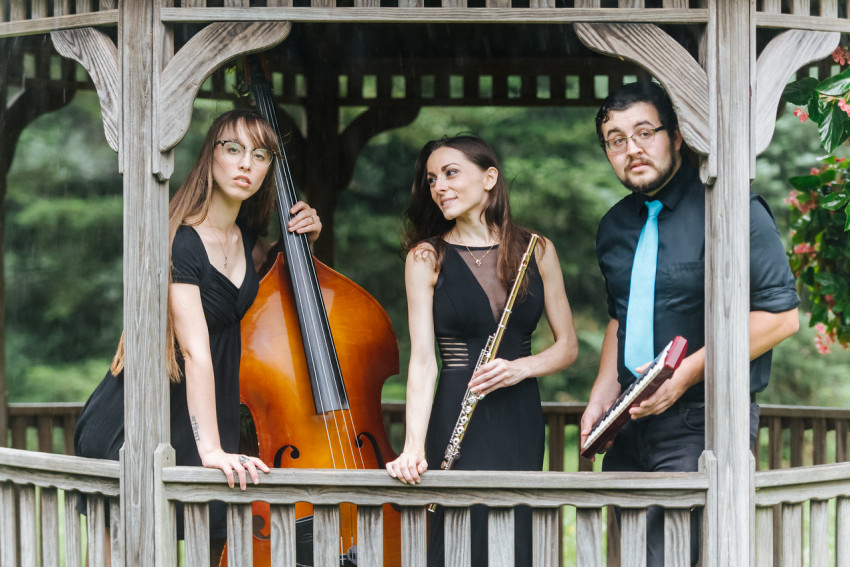 Hire Stefanie Santoro Flute Player in Westfield, New Jersey