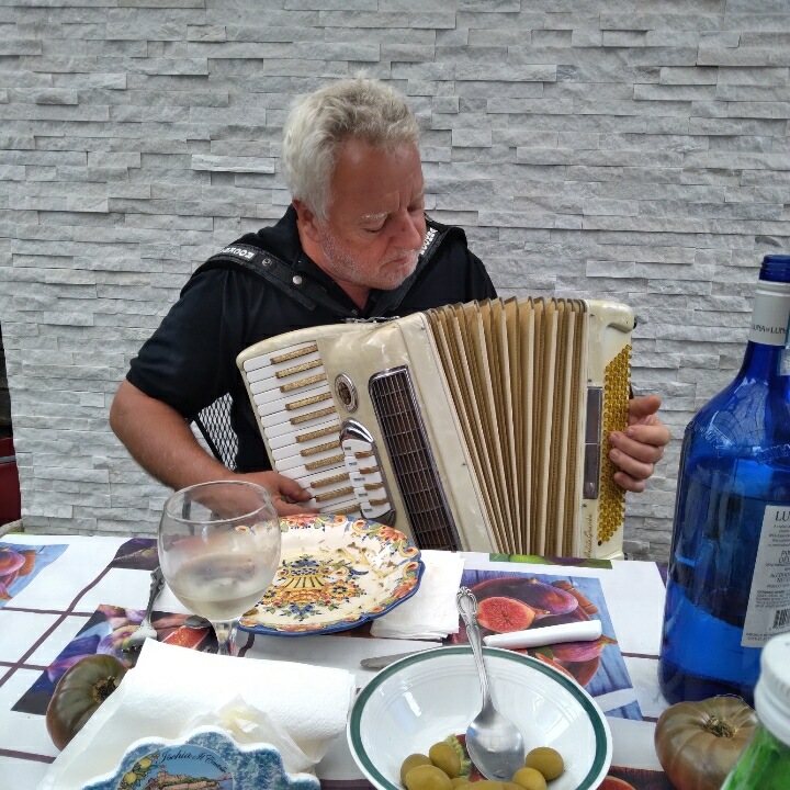 Hire Steve Accordion NY Accordion Player in New Rochelle, New York
