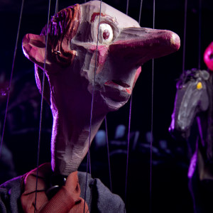 Stevens Puppets - Puppet Show in Tampa, Florida
