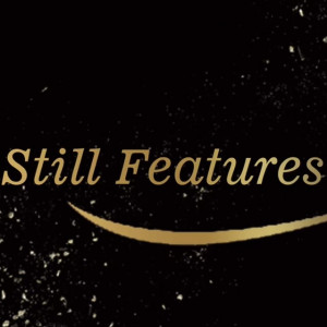 Still Features LLC - Photo Booths / Family Entertainment in Pearland, Texas