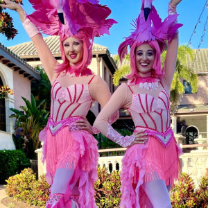 AGM Entertainment - Stilt Walker / Outdoor Party Entertainment in Orlando, Florida