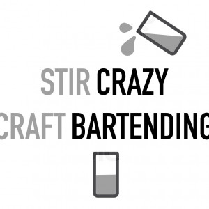Stir Crazy Craft Bartending