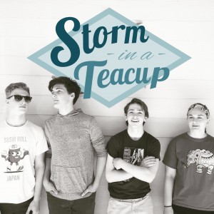 Storm in a Teacup - Alternative Band in Grinnell, Iowa