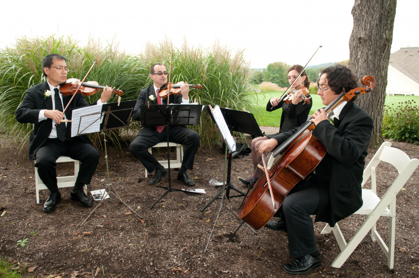 Gallery photo 1 of String Celebrations USA